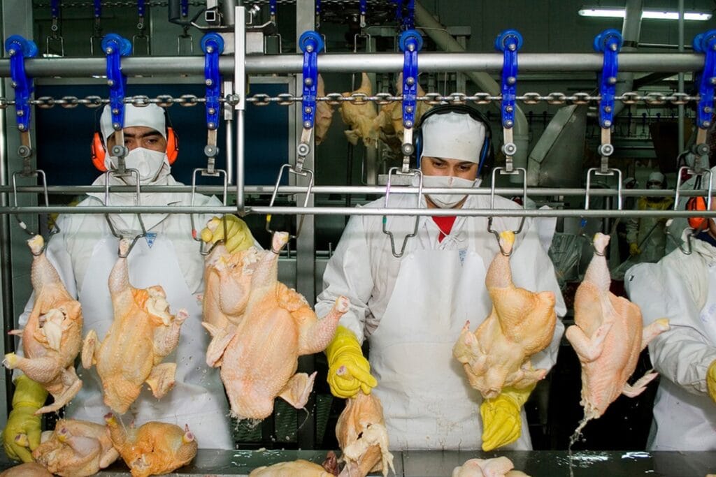 Para el «Grupo San José «La verdadera reforma laboral, es crear puestos de trabajo»