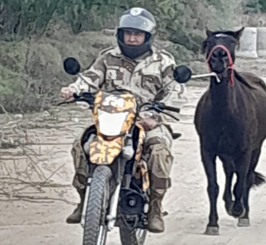 Robo de animales en una quinta de Paraná: Recuperan un caballo en barrio 4 de Junio