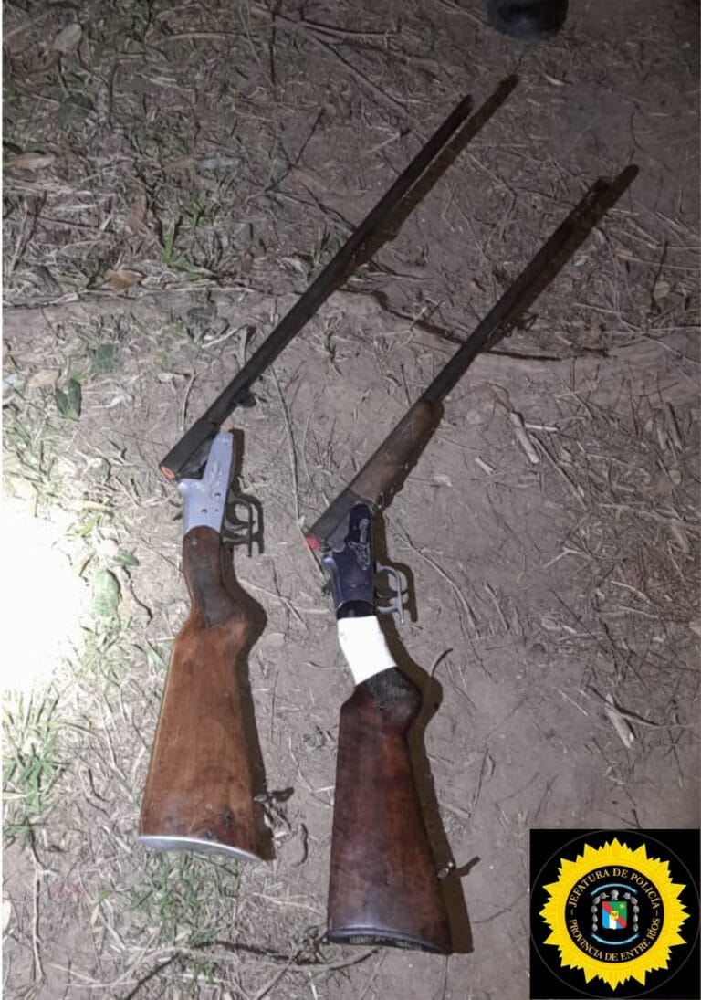 Operativo Náutico en Arroyo El Correntoso, secuestraron armas de fiegy