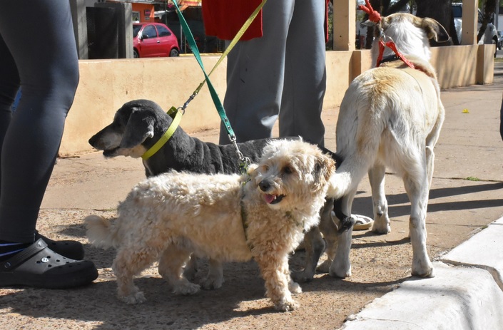 Éste viernes se realizará una charla sobre el derecho de los animales