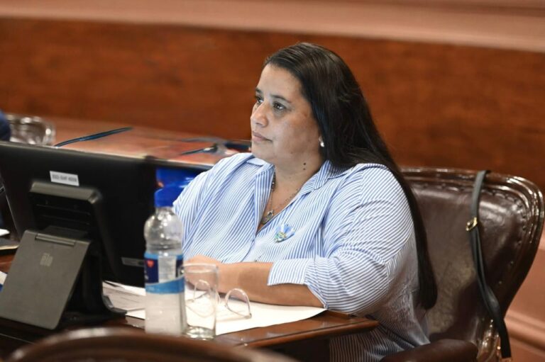 Taborda cuestionó al PJ por negarse a investigar la deuda pública: “Si no tienen nada que ocultar, no deberían tenerle miedo a una comisión investigadora”