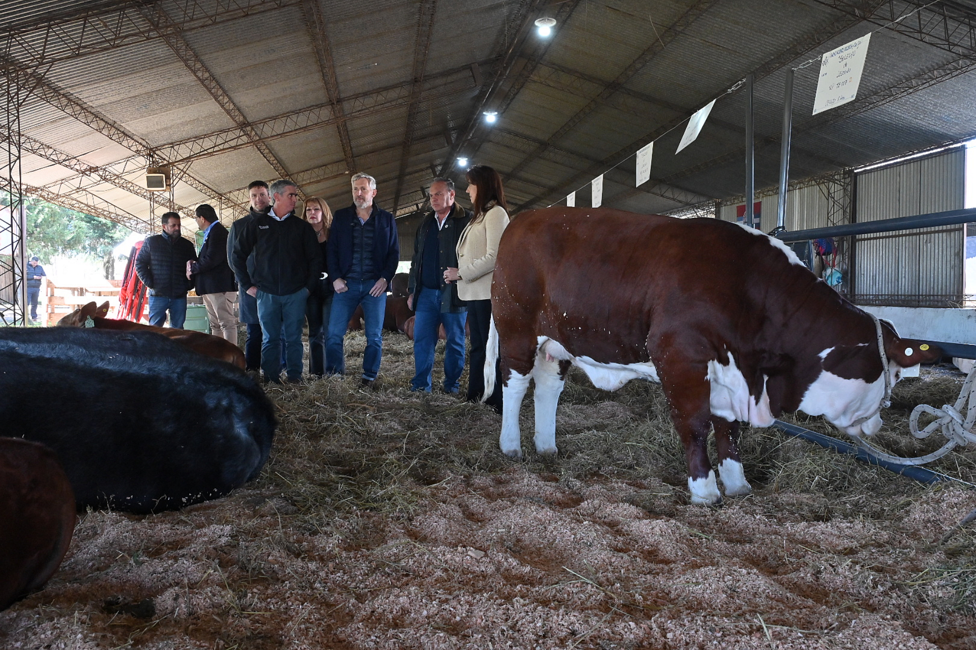 Frigerio anunció créditos para productores y mejoras viales en la 80° Exposición Rural de Feliciano