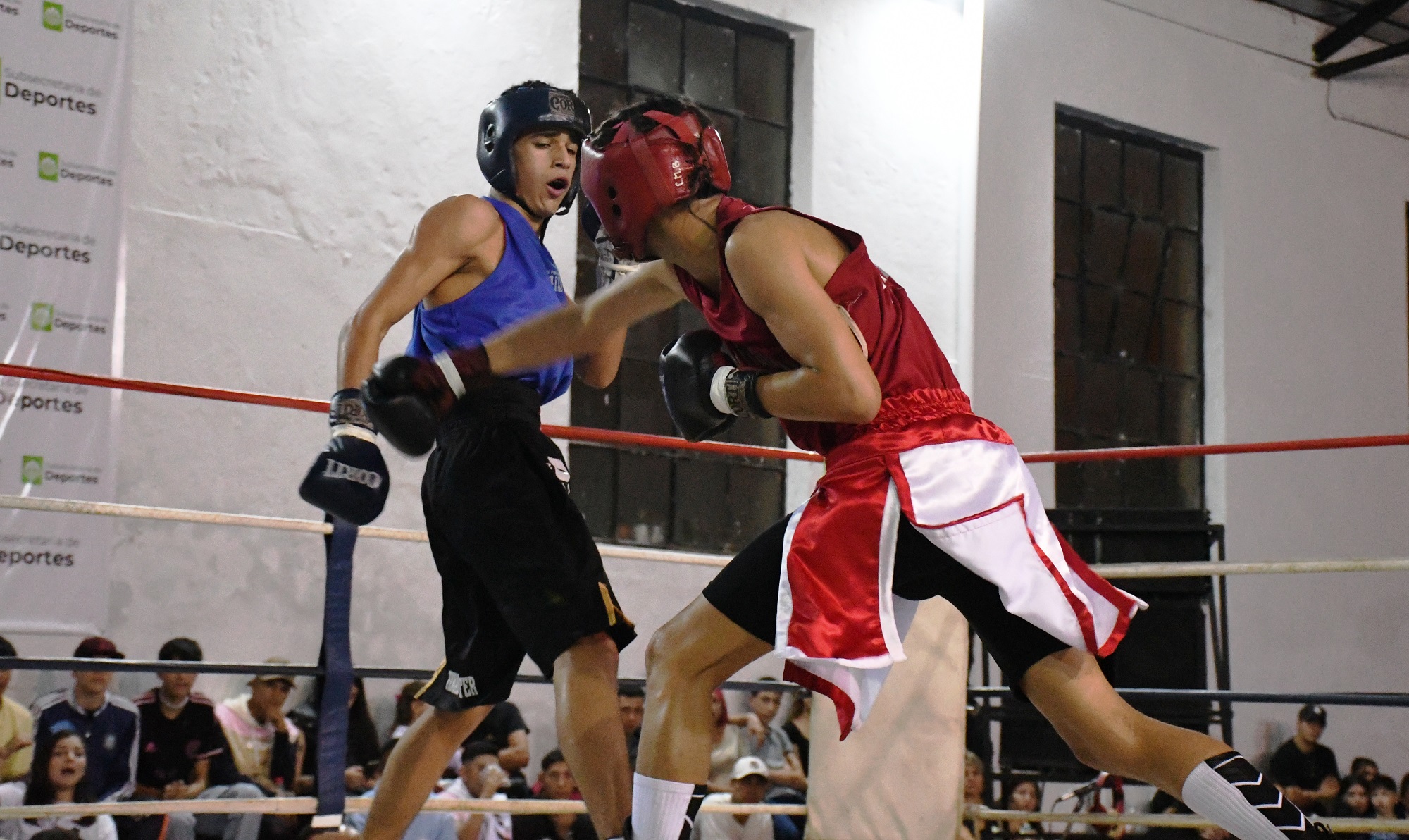 Campeonato Regional de Boxeo Masculino en Concordia