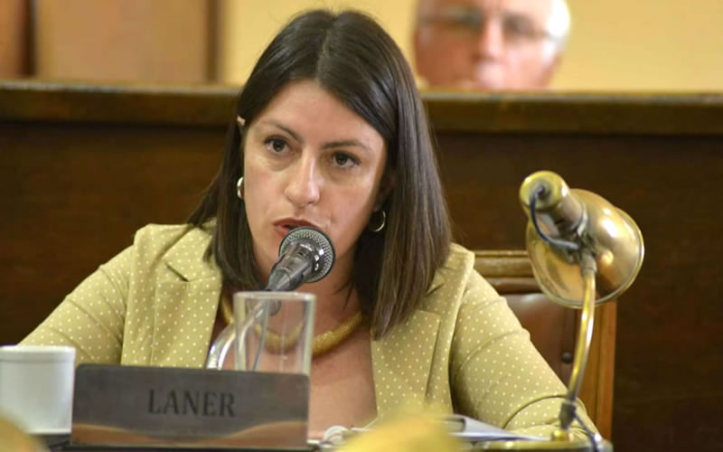 Laner: “Benítez representa las prácticas corruptas del kirchnerismo”