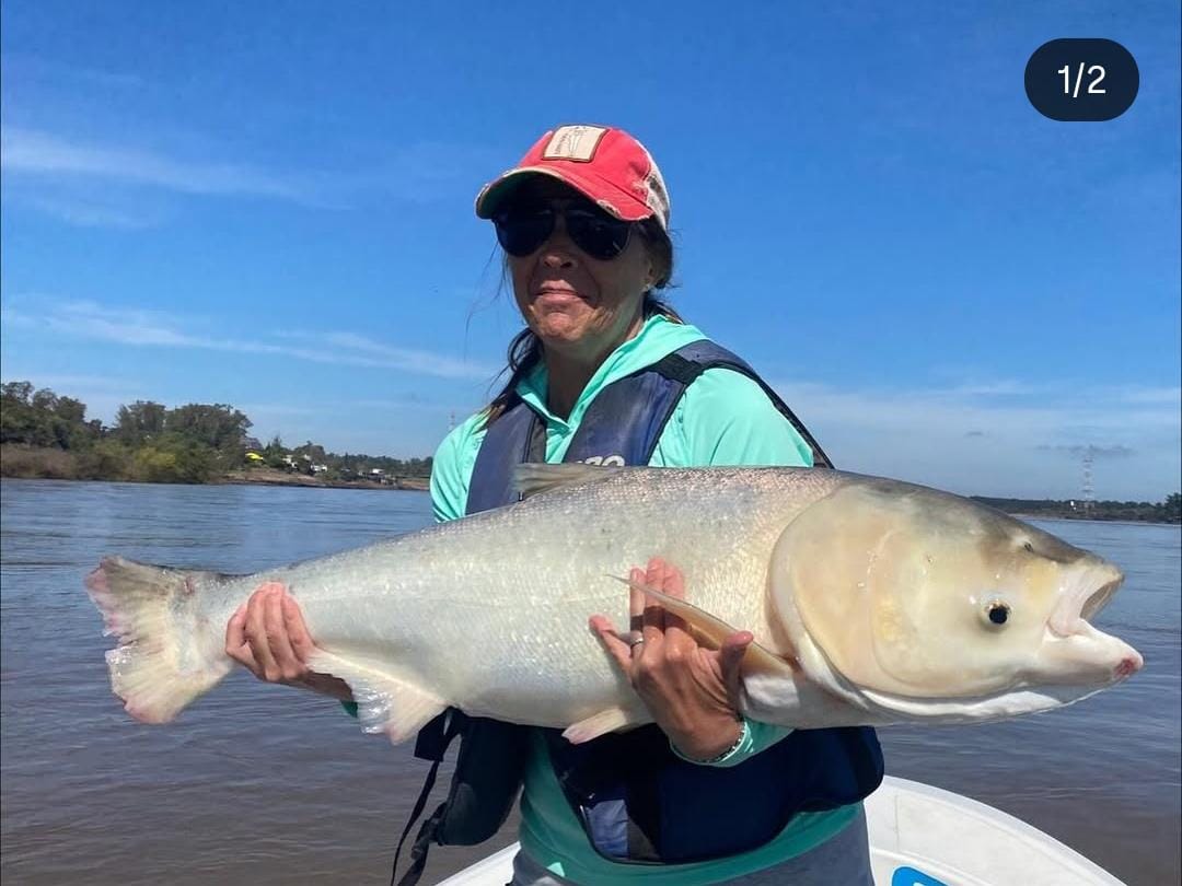 Pescó una Carpa Plateada en el Rio Uruguay