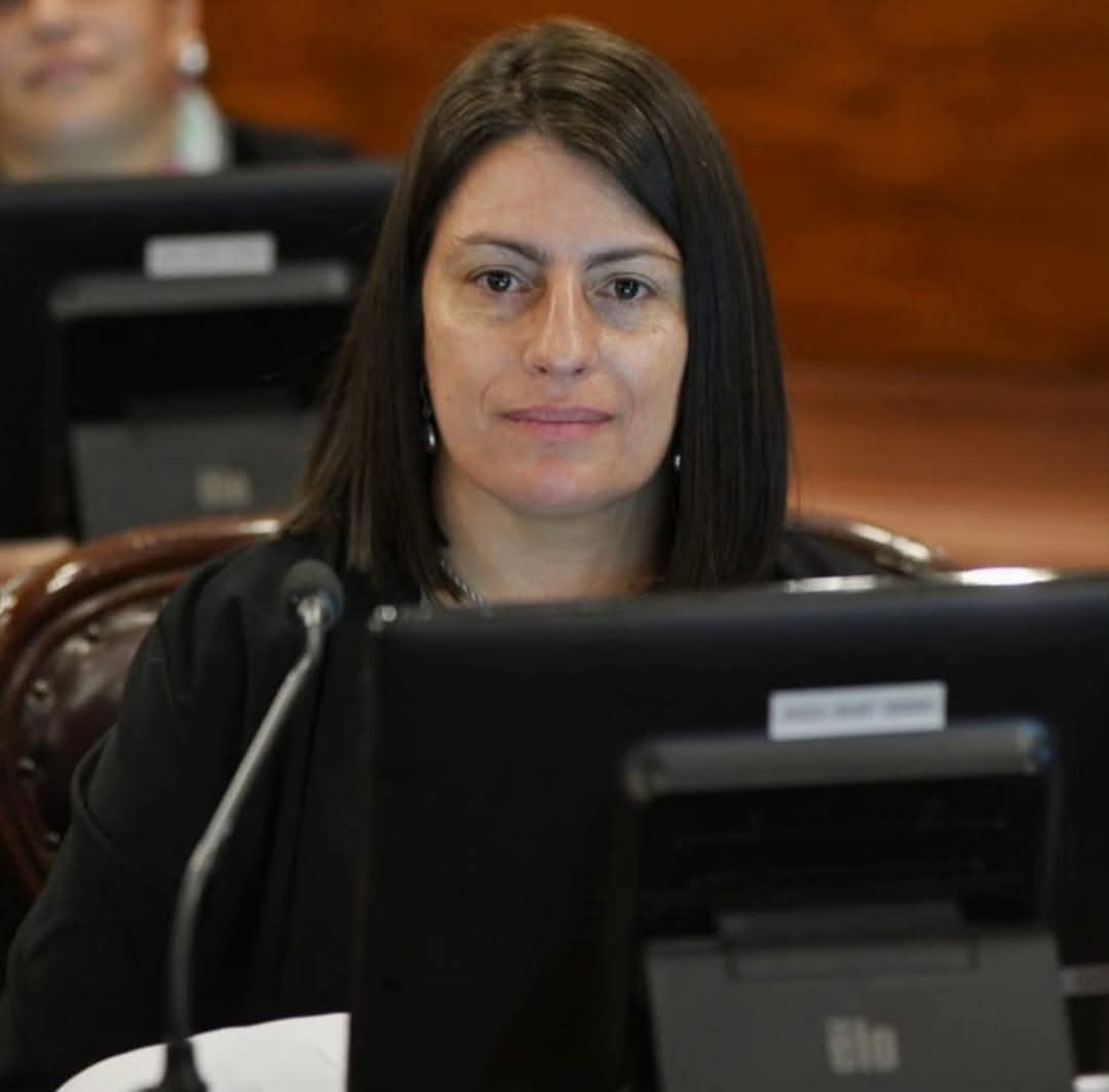 Casos de corrupción: La Diputada Carola Laner impulsa un proyecto para limitar los juicios abreviados