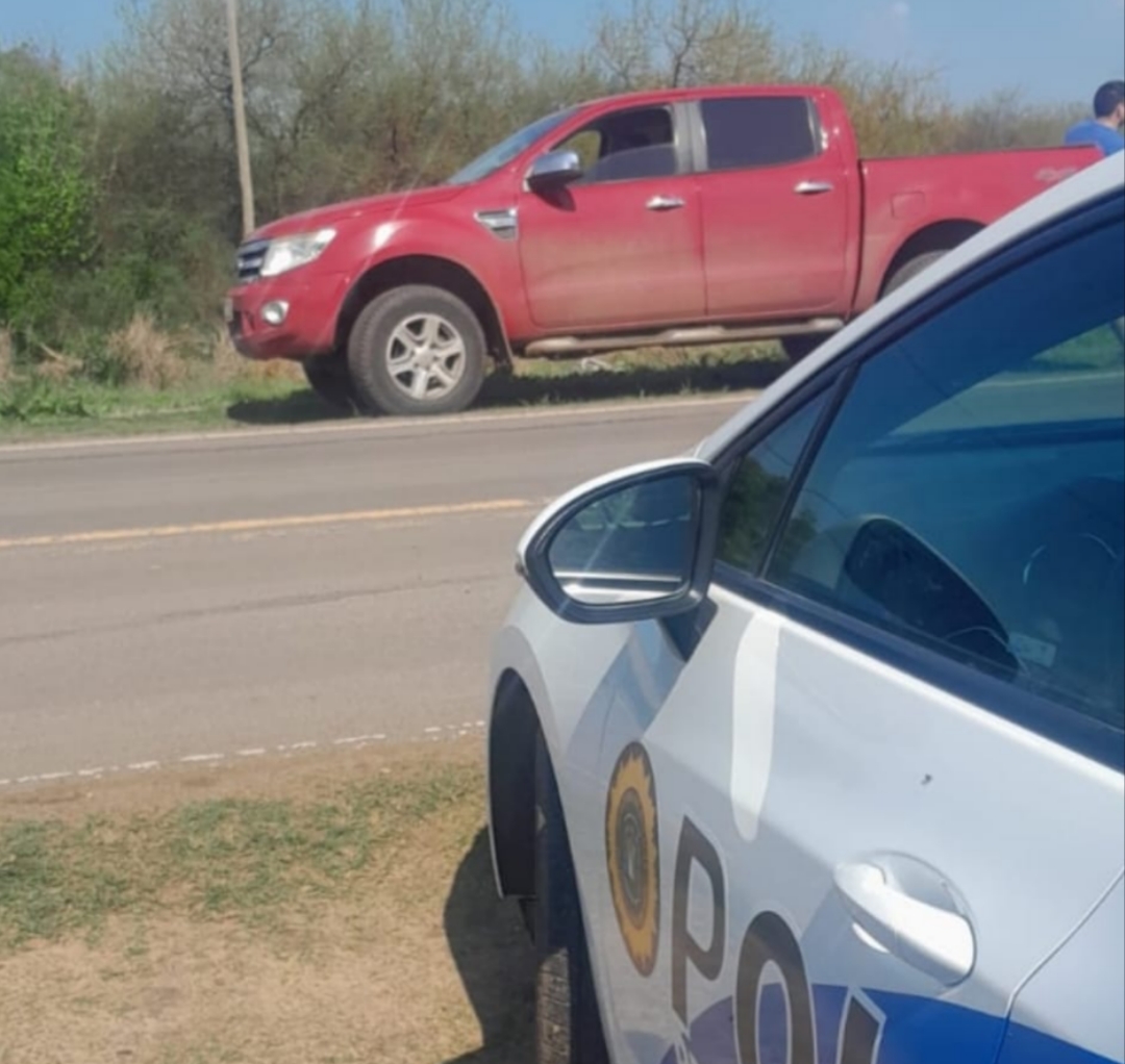 Quiso pasar un control policial con un vacuno faenado