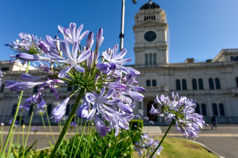 Éste lunes comienza el cronograma de pagos para estatales