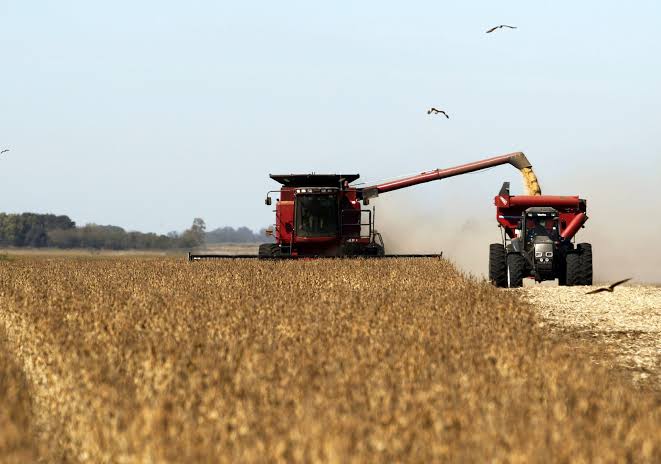 La Bolsa de Cereales de Entre Ríos celebró la reducción de Ingresos Brutos para el sector avícola