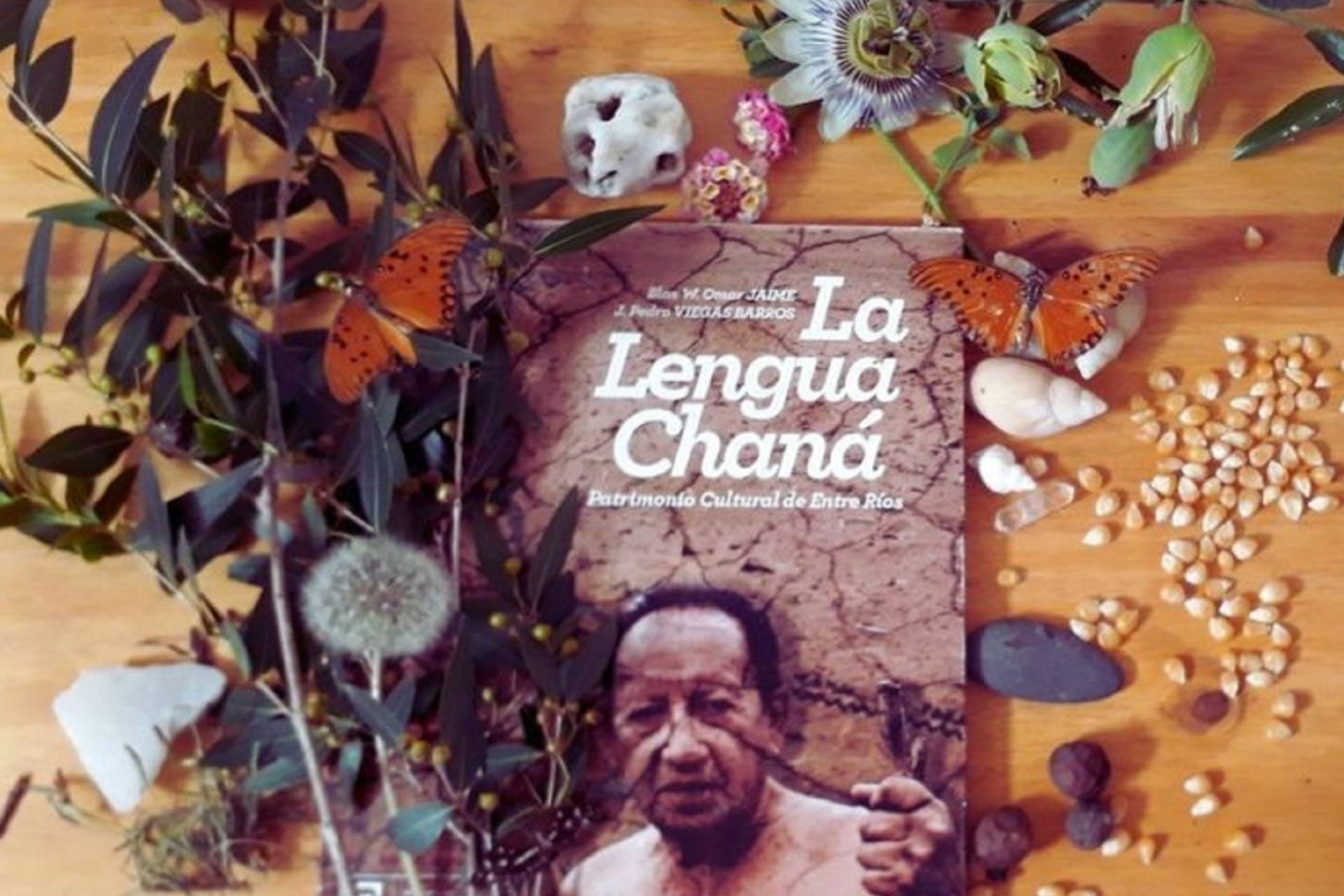El Museo Serrano invita a una jornada sobre cultura chaná y diversidad cultural