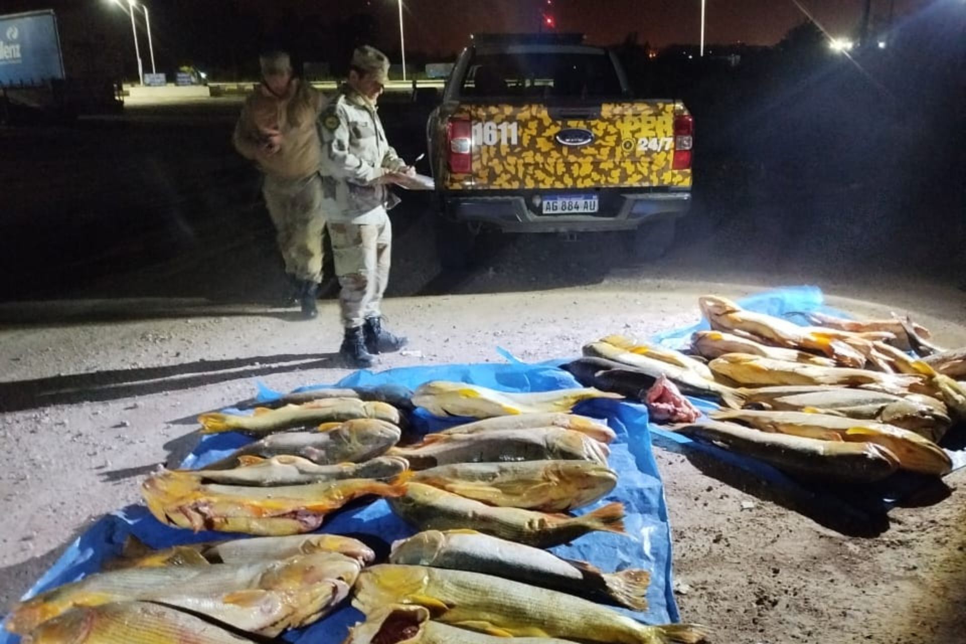 Decomisan más de 400 kilos de pescado en un operativo de control en Villaguay