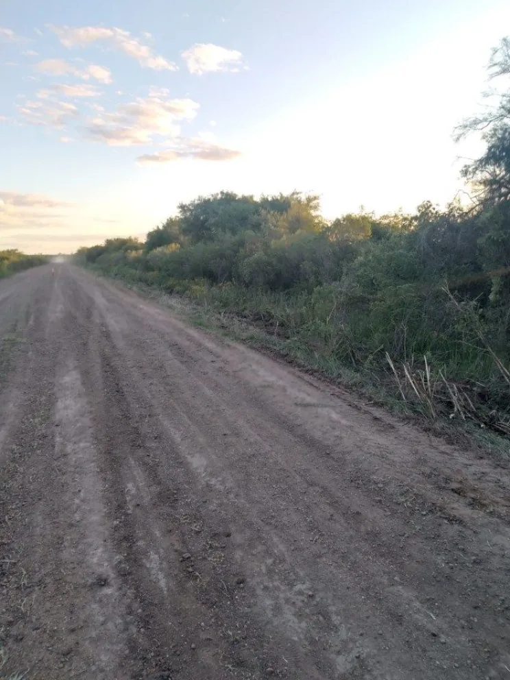 Encontraron un “cráneo incompleto y otros posibles huesos humanos”