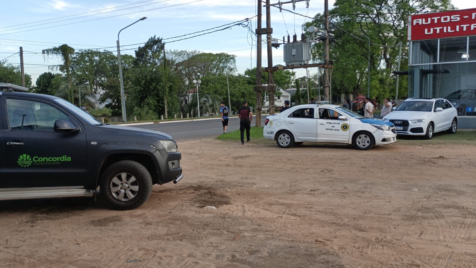 Control de animales en la vía pública: Avisar si ven animales sueltos