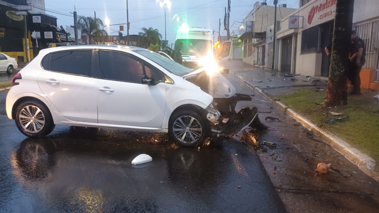 Persona falleció al perder el control del auto y chocar una palmera