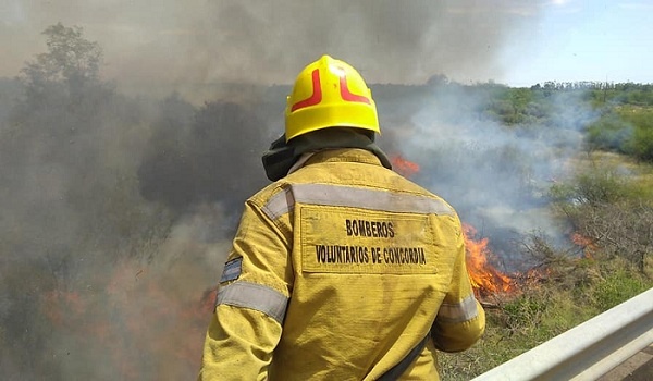 Alerta por ola de calor: piden extremar cuidados y evitar todo tipo de fuego