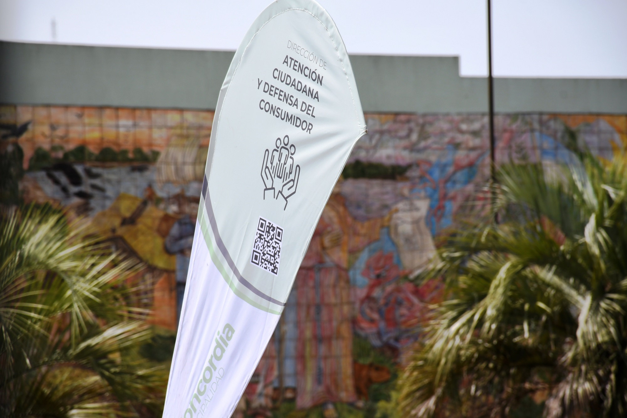 Defensa del Consumidor: Recomendaciones para las compras de fin de año