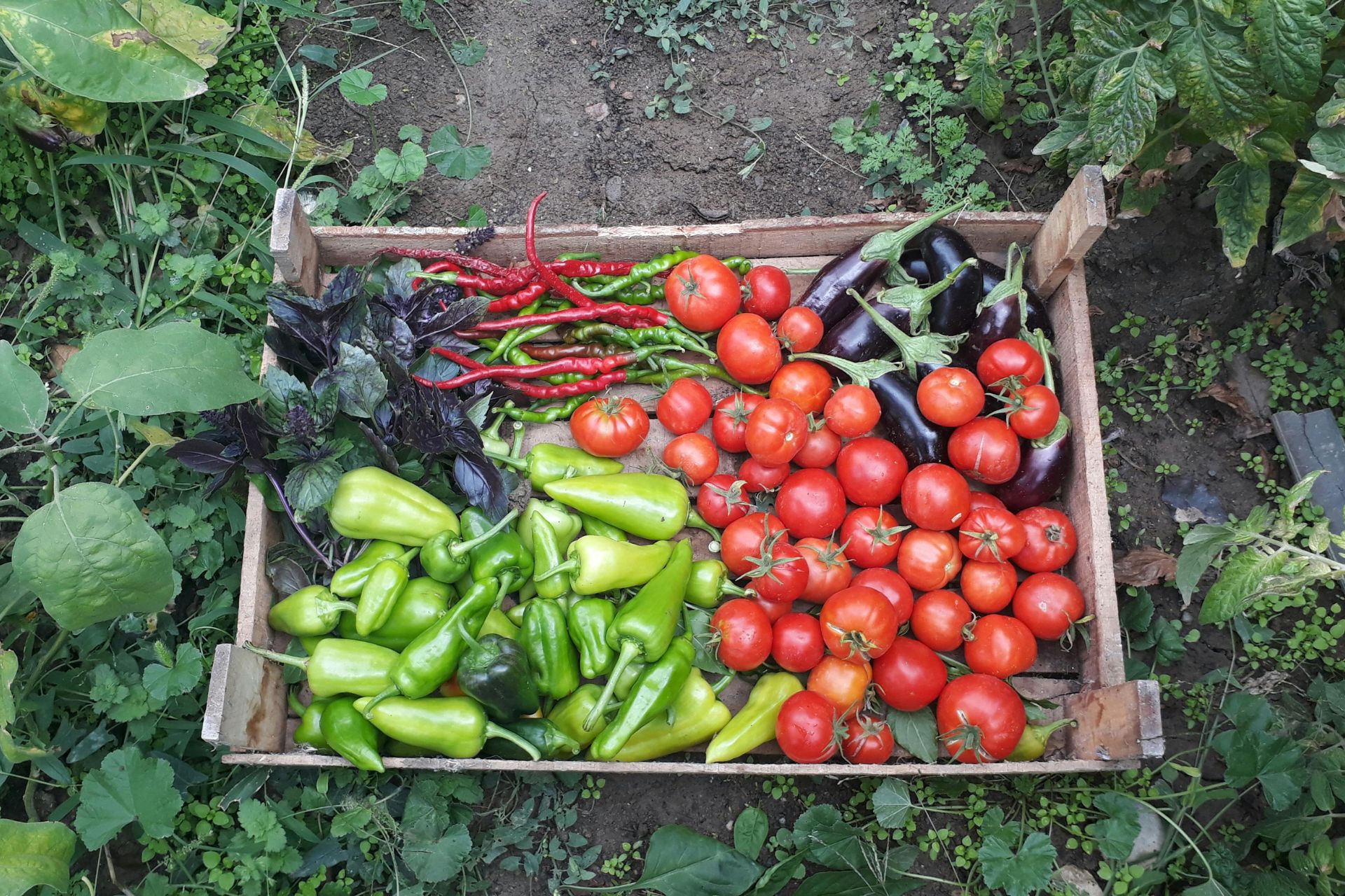 La provincia impulsa sus sistemas productivos ecológicos desde las comunas