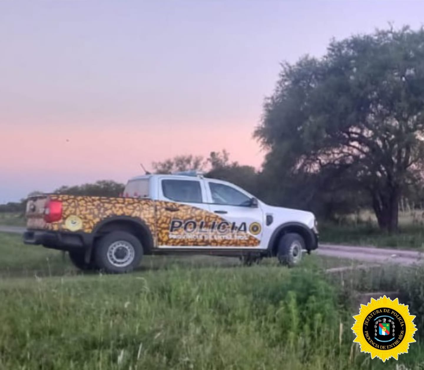 Federal: Un detenido, un auto secuestrado y tres corderos maneado