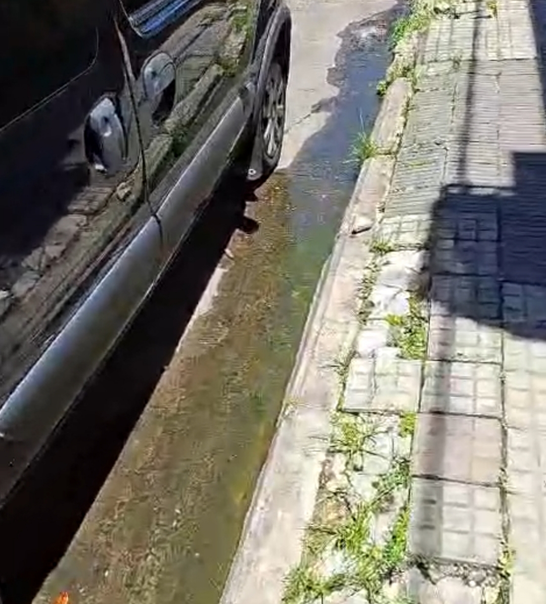 Vecinos de Vélez Sarsfield denuncian seis meses de aguas servidas en la vía pública