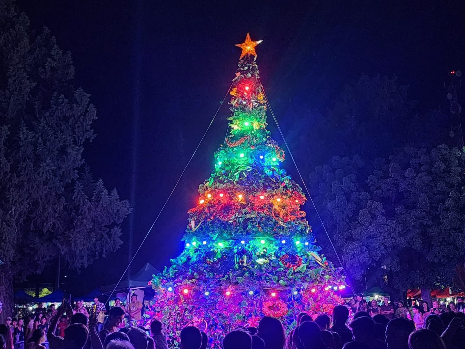 Feliciano se ilumina con el encendido del árbol de Navidad