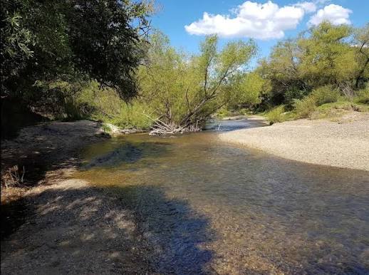 Tragedia en una playa del camino Cofa: falleció un adolescente de 17 años