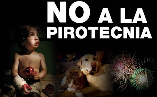 Vecinos de Concordia reportan una alta cantidad de pirotecnia en la noche del 24 a pesar de la prohibición municipal