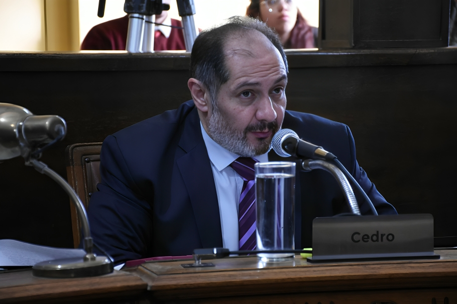 “La gestión de Azcué es deplorable y está mostrando su peor cara”, expresó Daniel Cedro