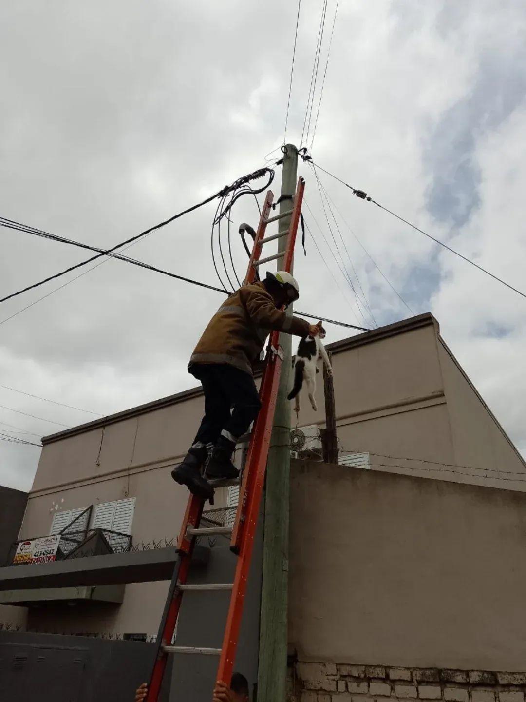Arduo trabajo de los Bomberos Voluntarios de Concordia
