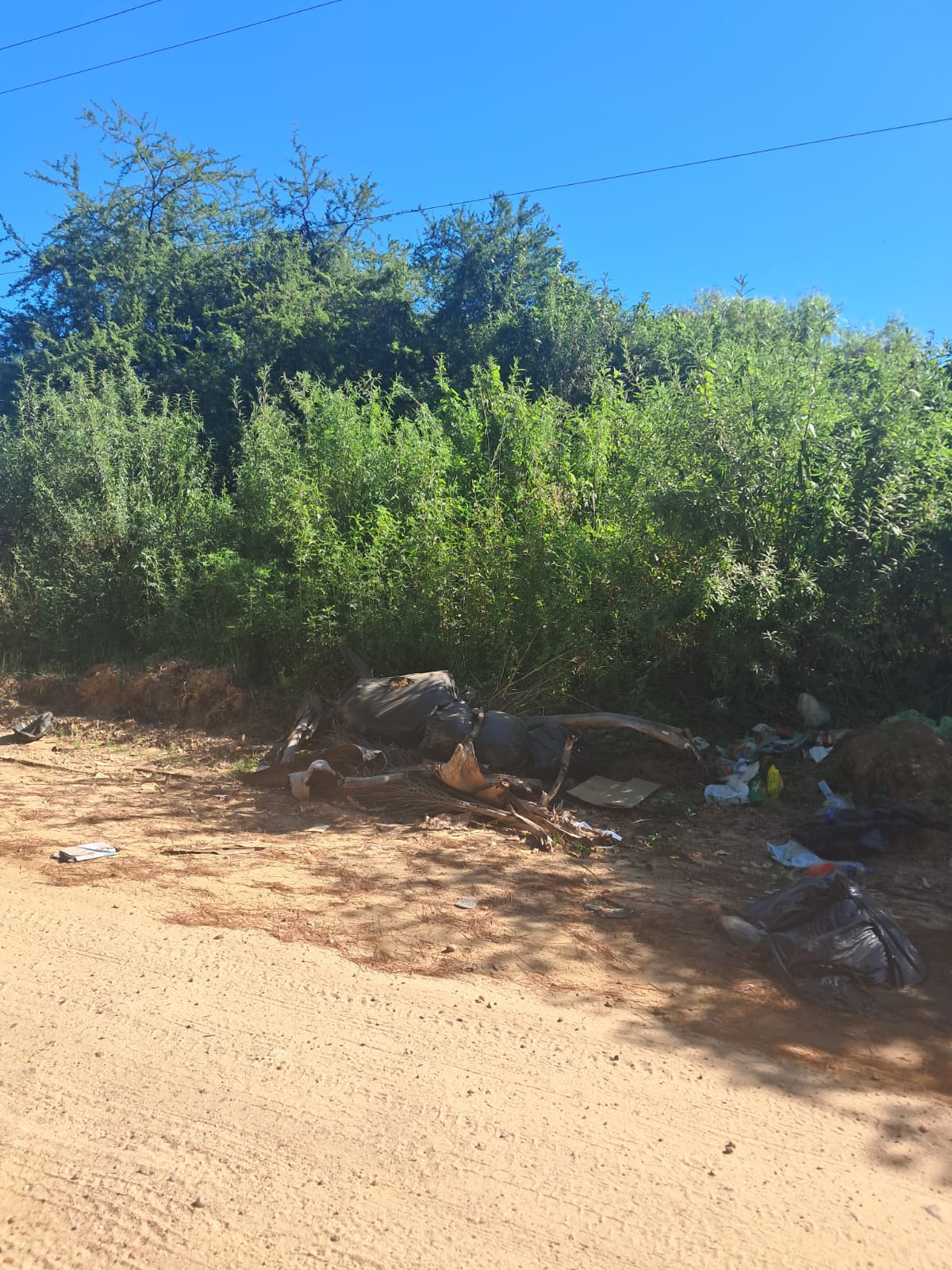 Vecinos de Villa Adela reclaman limpieza en Capitán Rojas, a metros de la rotonda