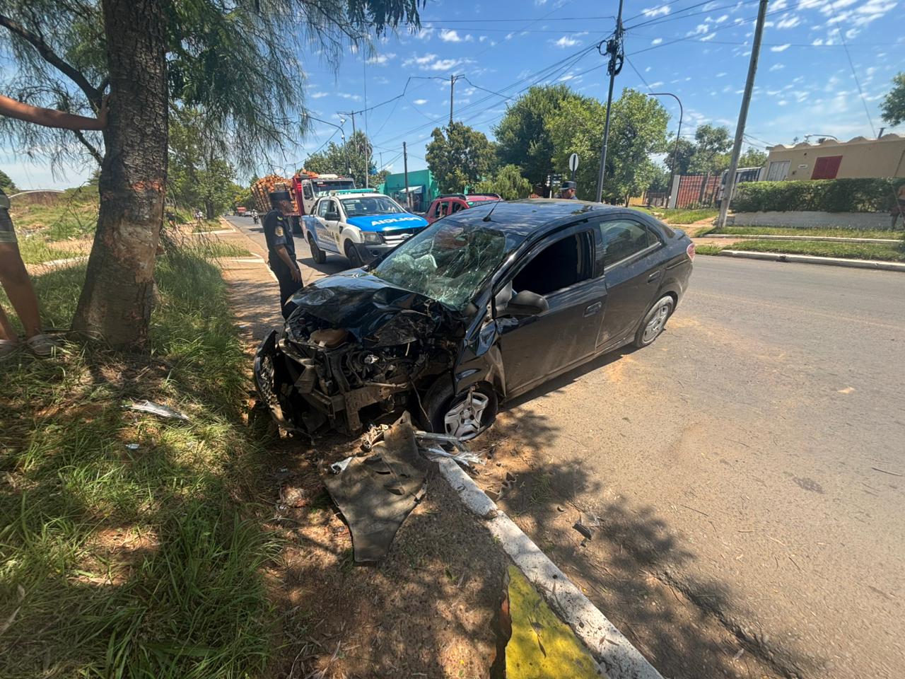 Un auto impactó contra un árbol en la zona sur