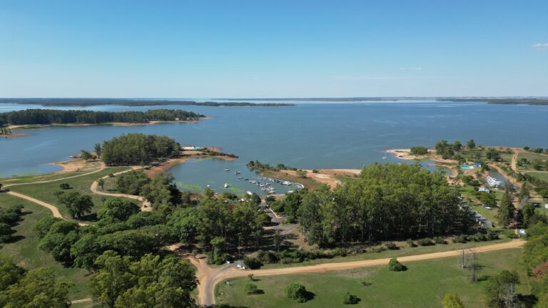 Rápida intervención evitó un posible incendio en un sector del Lago de Salto Grande