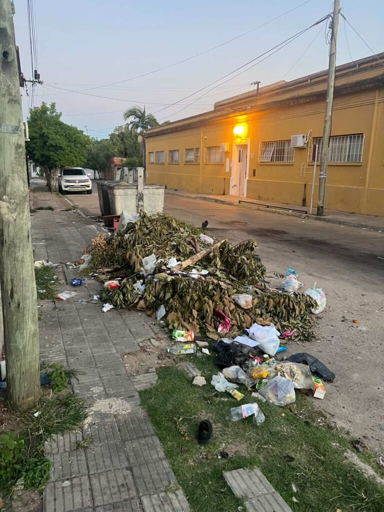 Grave situación sanitaria y de seguridad en inmediaciones del Polifuncional: vecinos denuncian consumo de drogas, amenazas y presencia de ratas