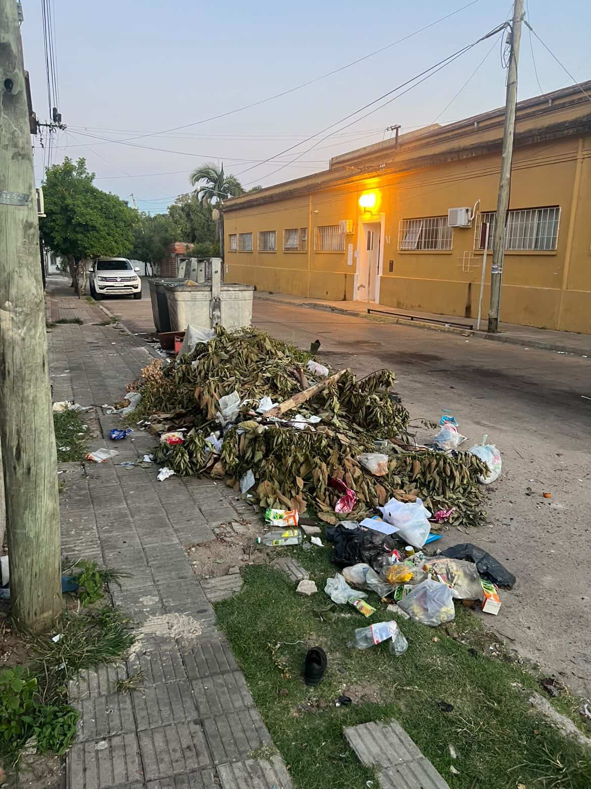 Grave situación sanitaria y de seguridad en inmediaciones del Polifuncional: vecinos denuncian consumo de drogas, amenazas y presencia de ratas