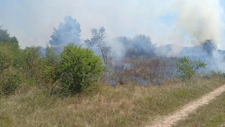 Incendio forestal en la zona del Arca de Enrimir
