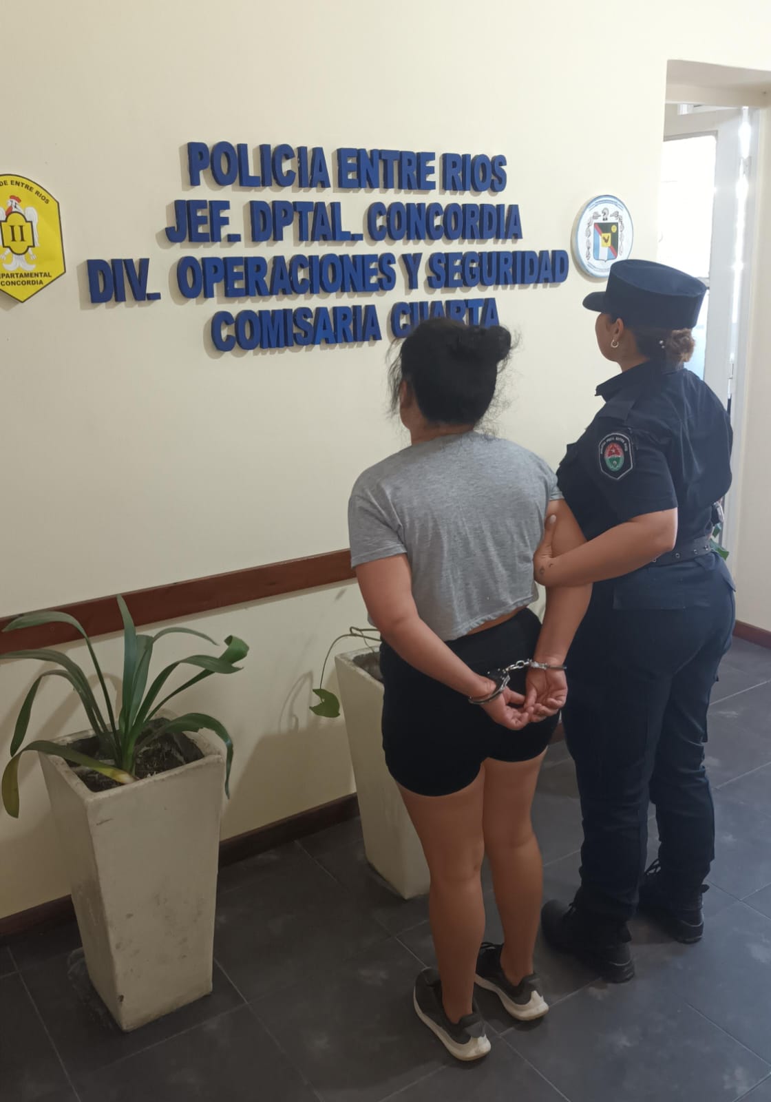 Allanamiento por una causa de hurto terminó con el secuestro de drogas, municiones y una mujer detenida