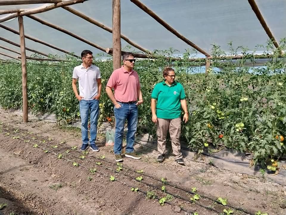 Feliciano ve los resultados del Polo Hortícola: trabajo y producción local