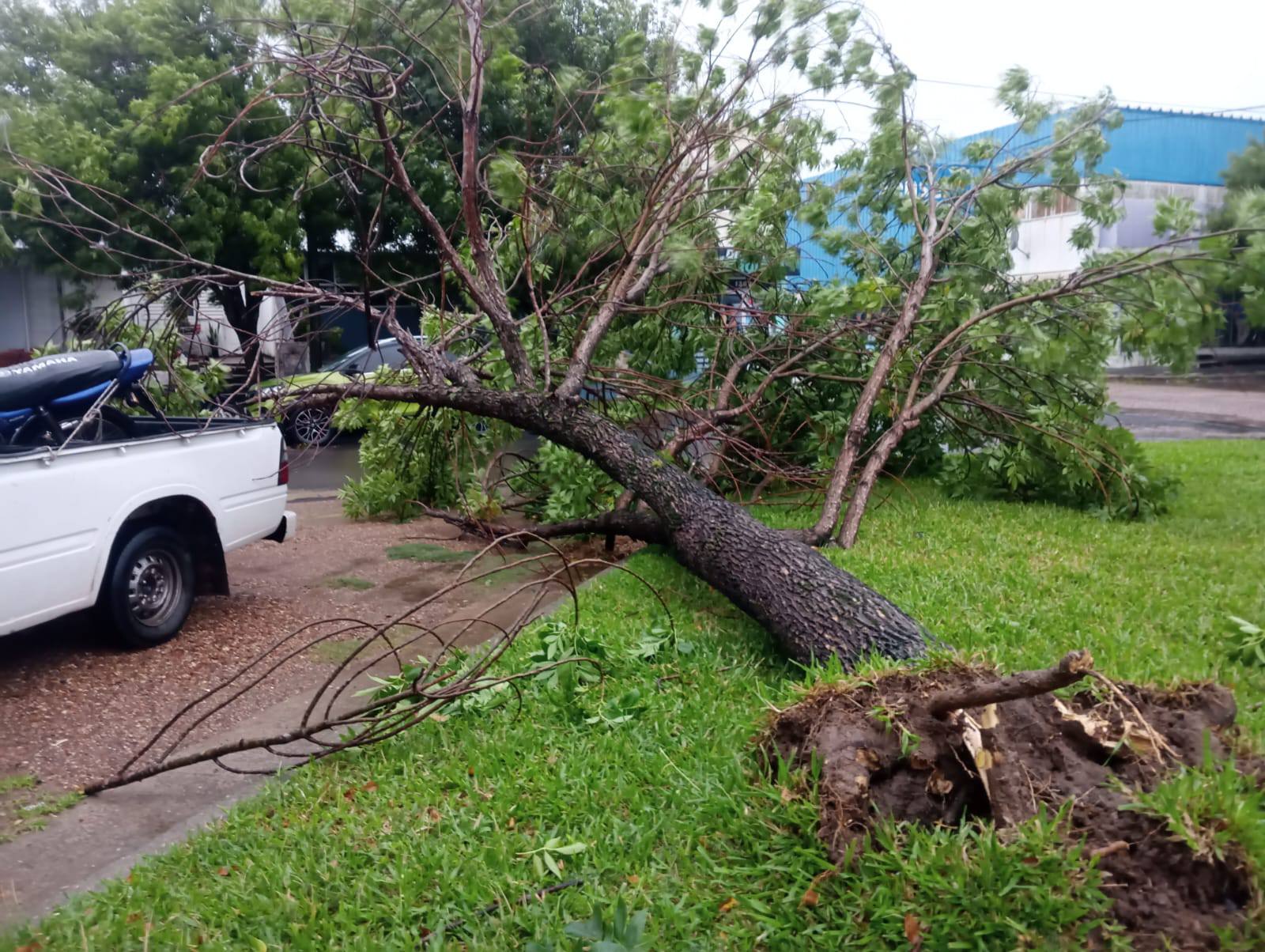 Federación sufrió el temporal: varias familias fueron asistidas