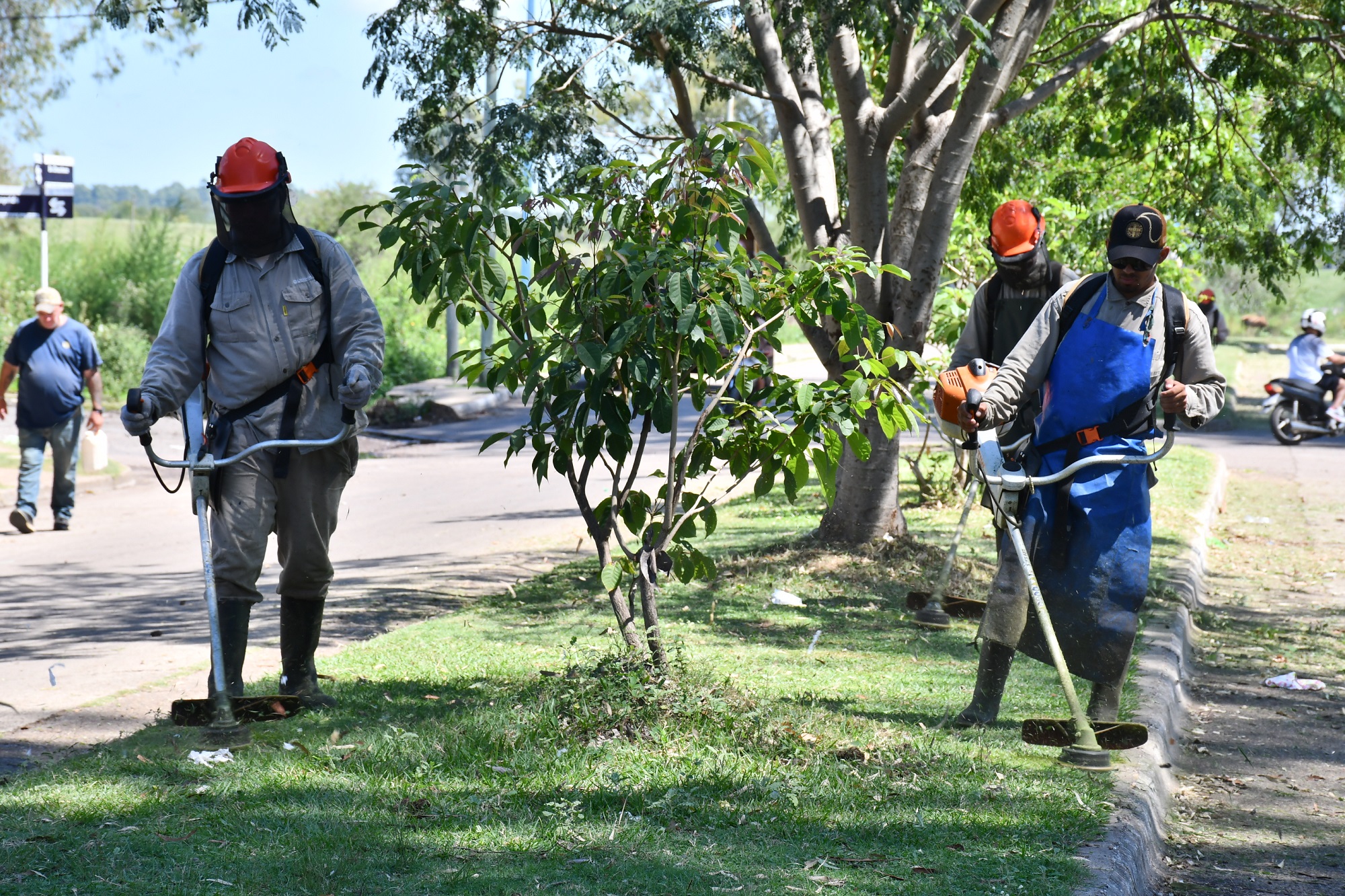 Azcué: «Si todos colaboramos podemos tener una ciudad más limpia y ordenada»