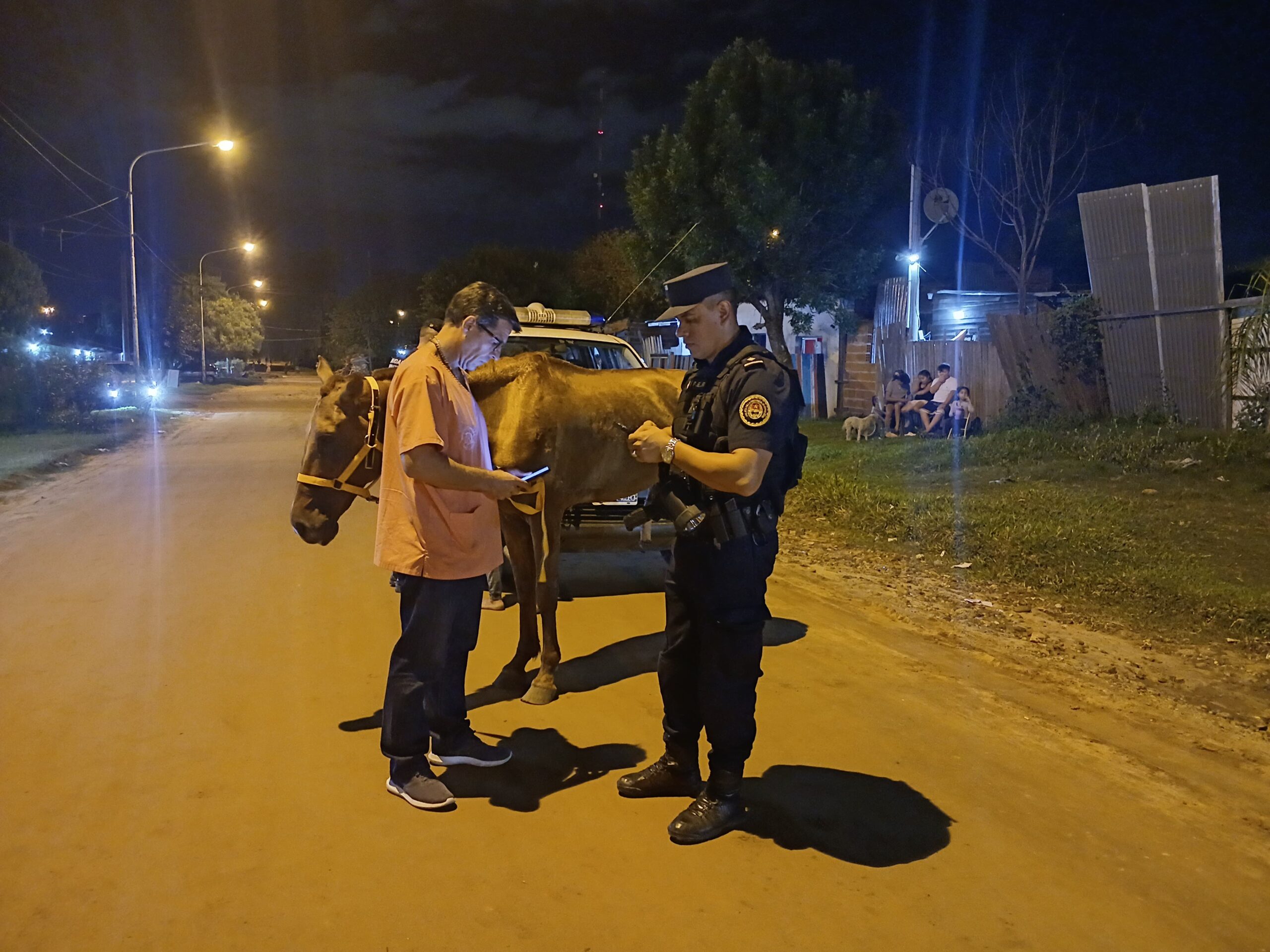 Retuvieron un caballo en mal estado y demoraron a su conductor por presunto maltrato animal