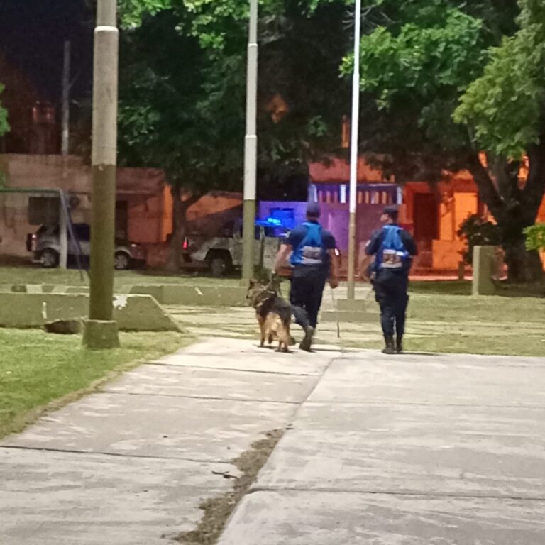 Seguridad: Refuerzan la presencia policial con patrullajes de la Montada y Canes en los barrios