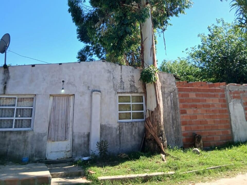 Vecina solicita urgente retiro de árbol por riesgo en la vía pública