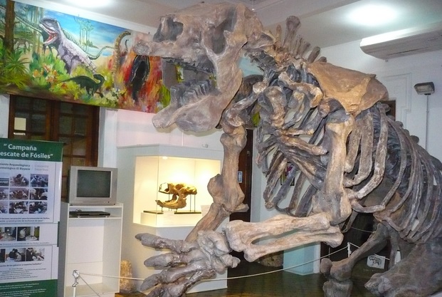 Nueva Edición de «La Noche de las linternas» en el Museo de Antropología