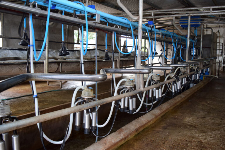 La provincia ofrece créditos con tasa bonificada a productores y pymes