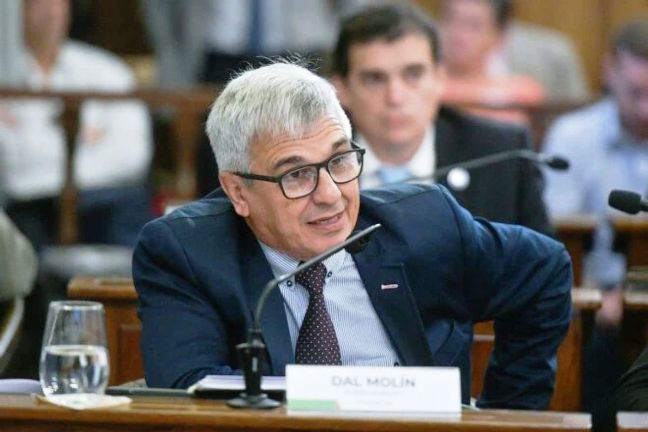 Dal Molín: “Seguir postergando la reforma previsional pone en jaque al sistema”