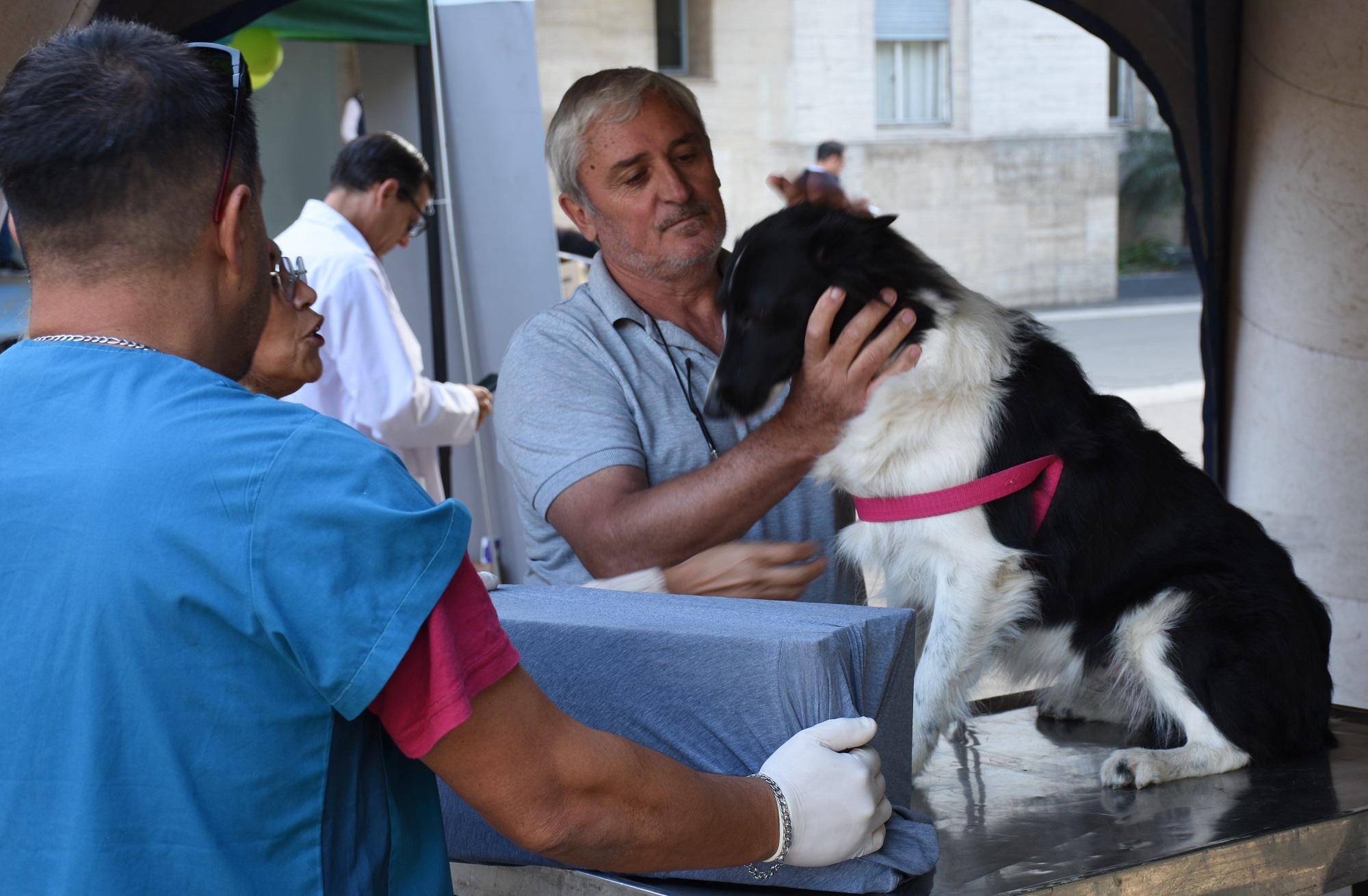 El Programa de Esterilizaciones barriales gratuitas atenderá en La Bianca