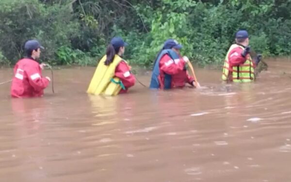 Buscan a una persona desaparecida en Concordia: Bomberos Voluntarios realizaron rastrillajes en el río Uruguay
